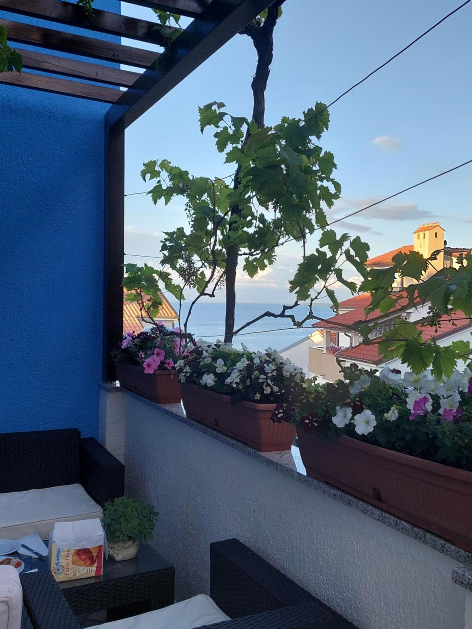 Suncica Apartman *