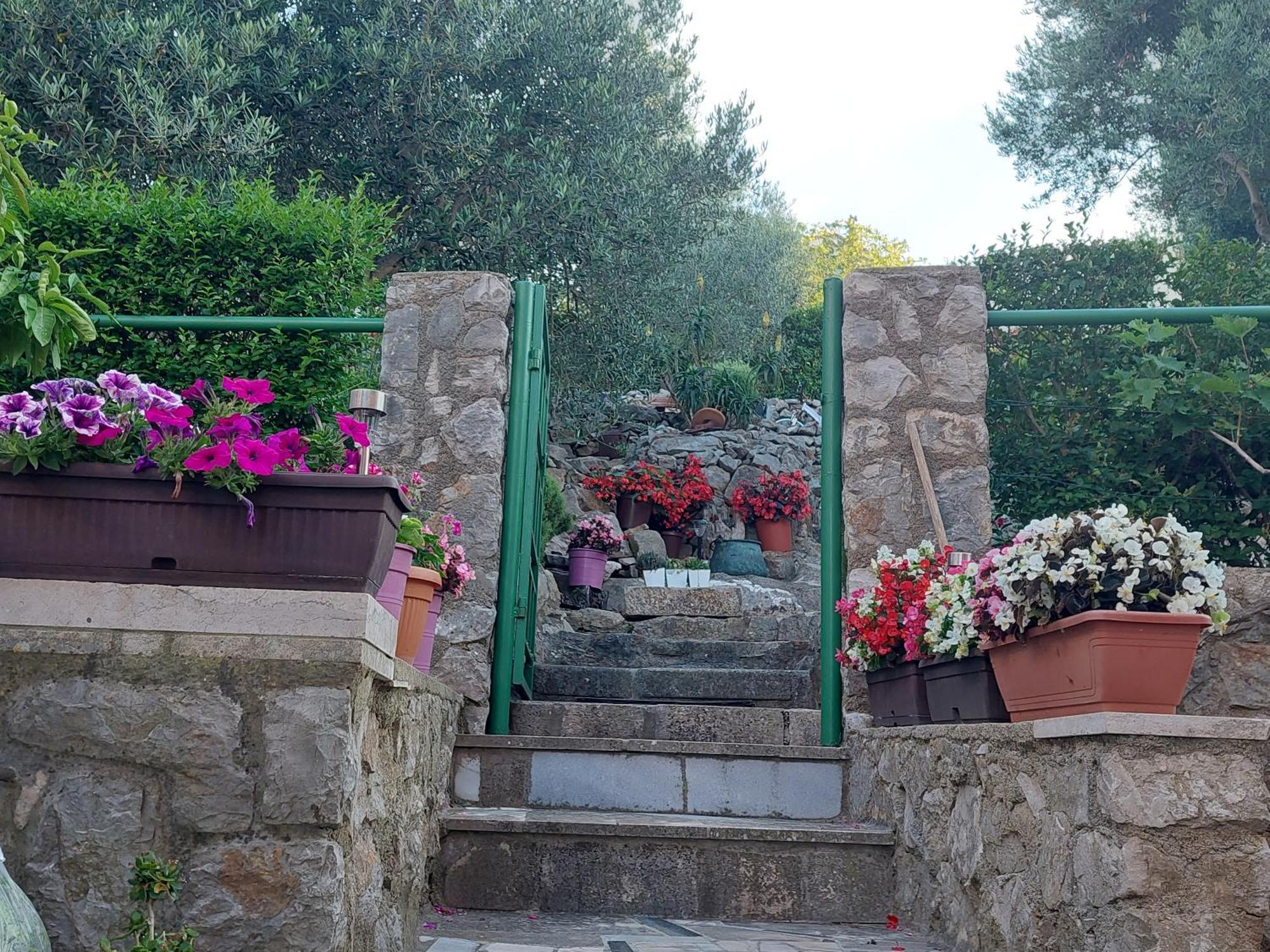 Suncica * Mali Losinj