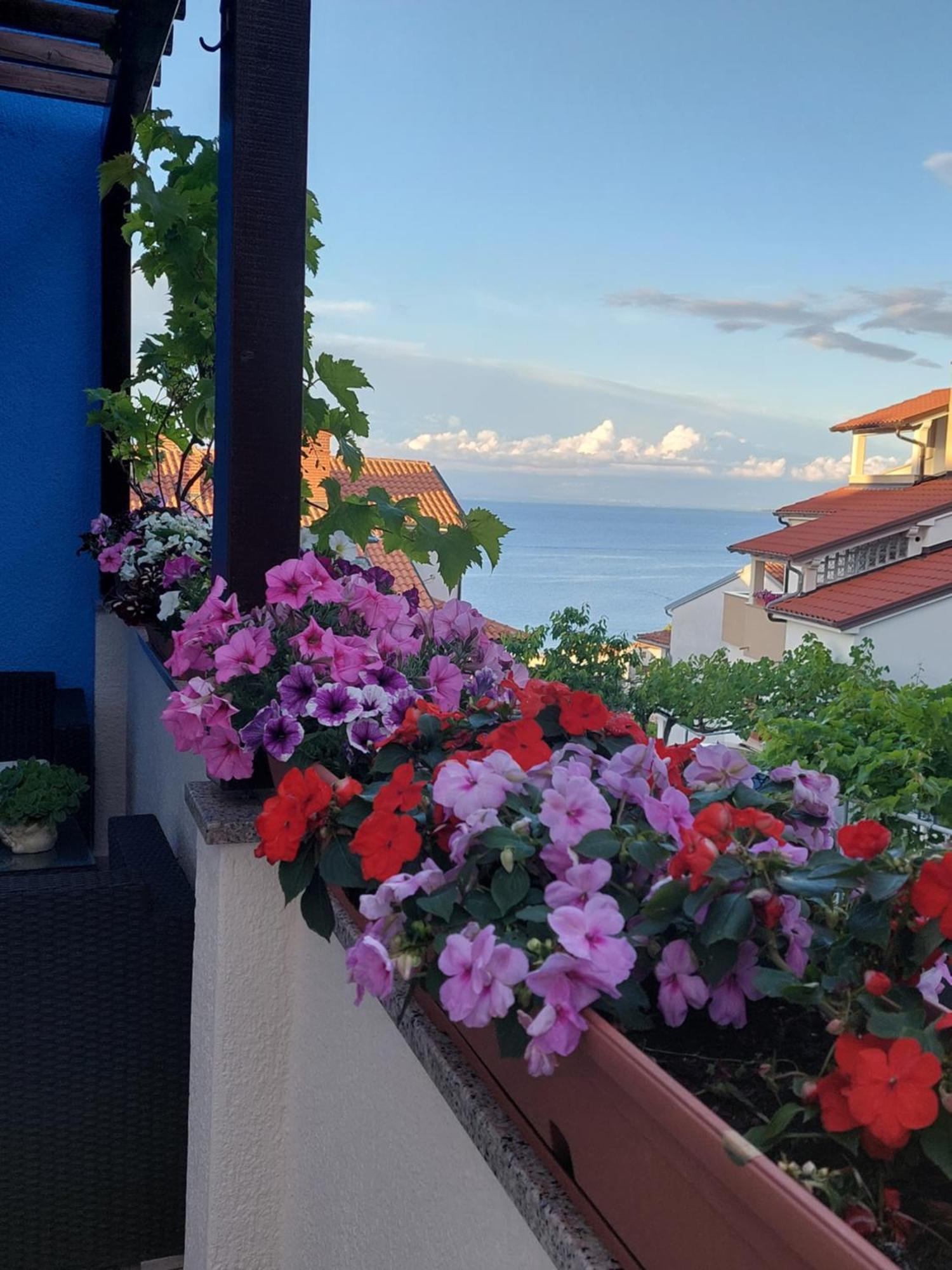 Apartman Suncica