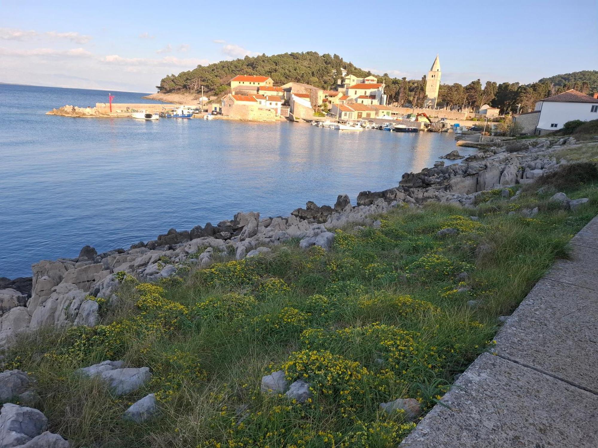Apartman Suncica *