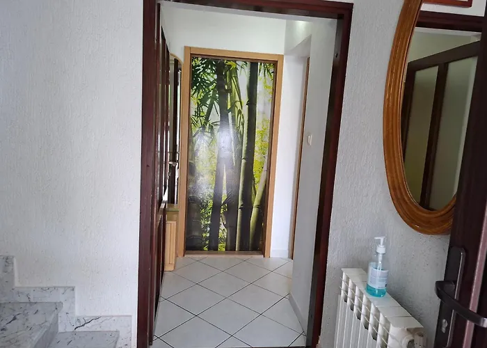 Apartments Suncica