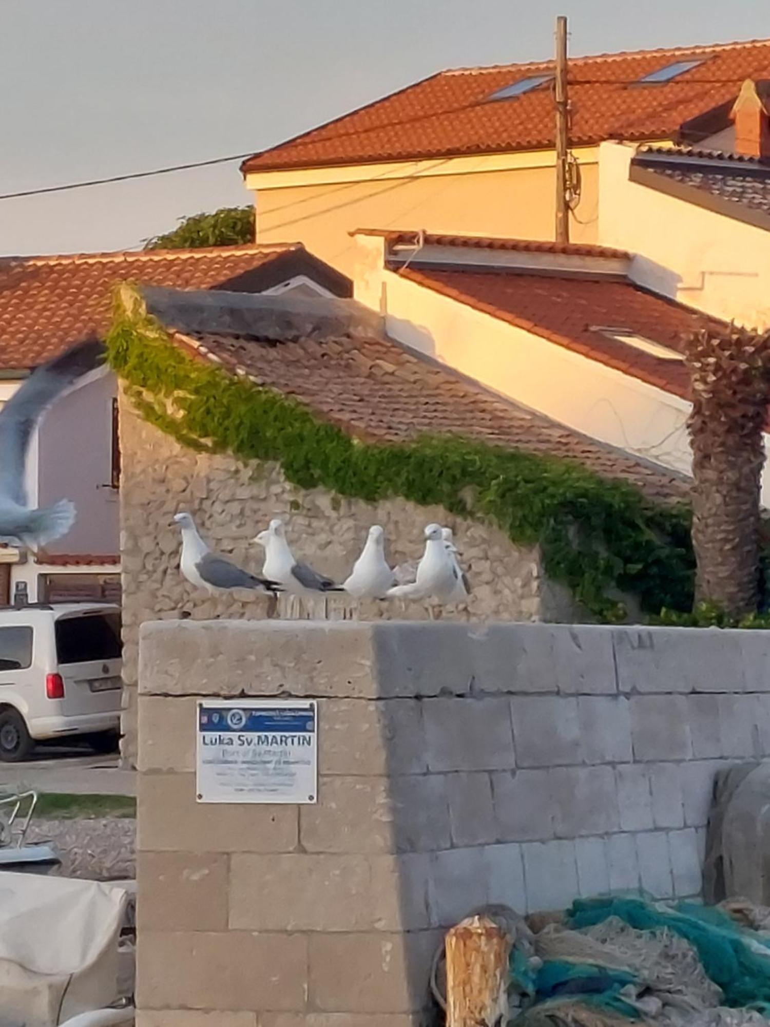 Suncica Mali Lošinj