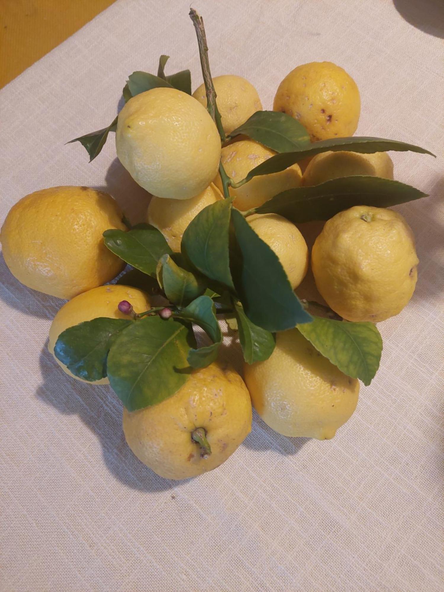 Suncica Appartement Mali Lošinj