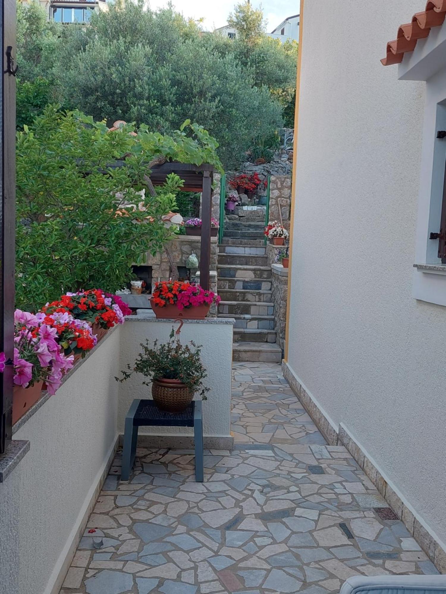 Suncica Mali Lošinj
