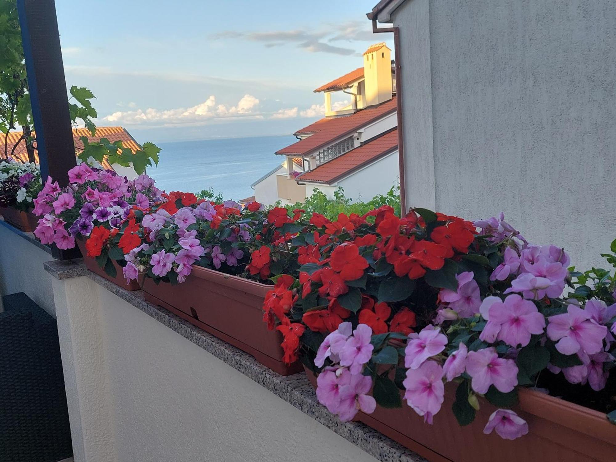 Suncica Appartement Mali Lošinj